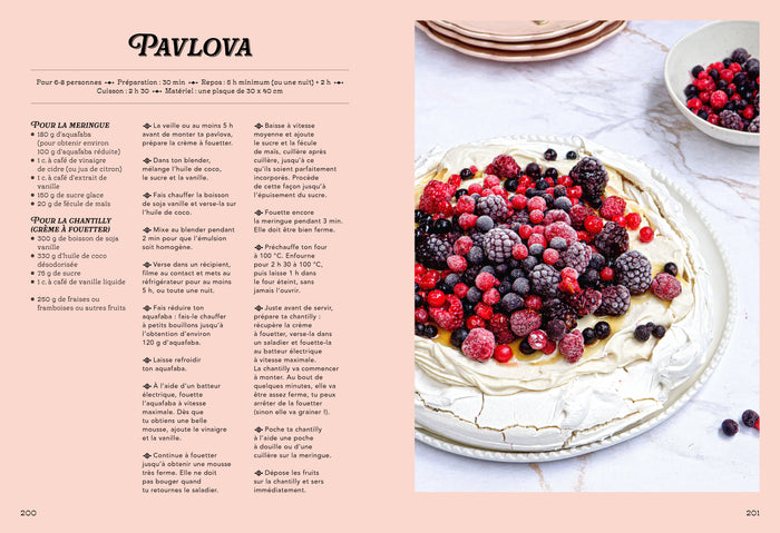 Le Grand Livre des Gâteaux de Famille