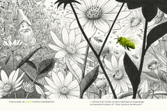 Dans le jardin