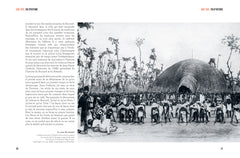 Fou d'Histoire