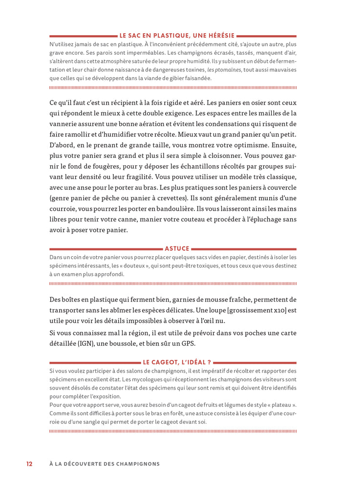 A la découverte des champignons