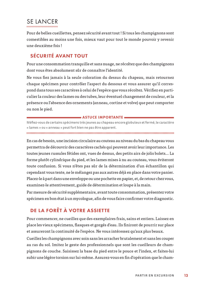 A la découverte des champignons