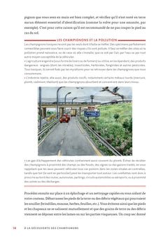 A la découverte des champignons