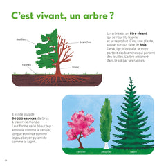Les arbres