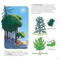 Les arbres