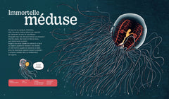 Les super pouvoirs des animaux marins