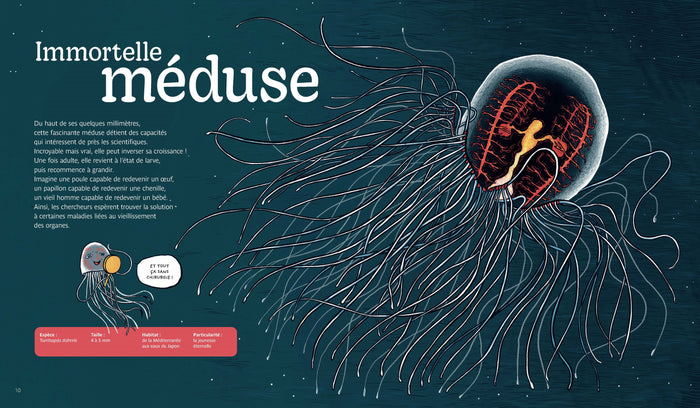 Les super pouvoirs des animaux marins