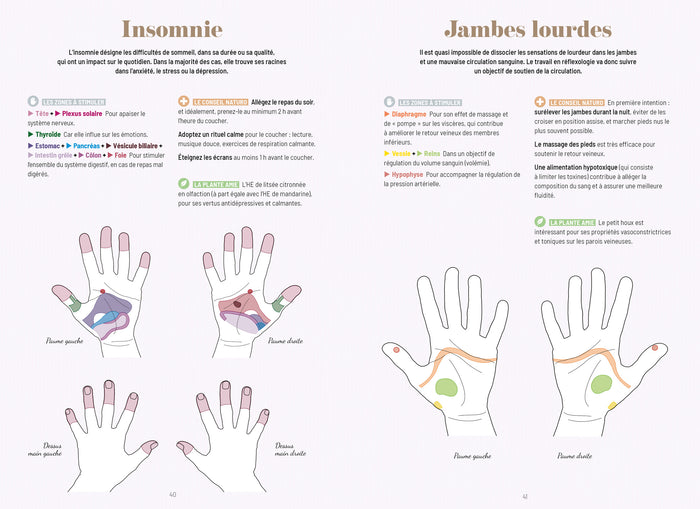 Mon cahier de réflexologie palmaire