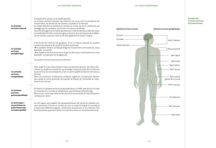 Naturopathie : Le Codex