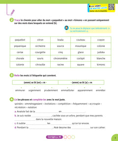 Lecture fluide CM1-CM2 - 10-11 ans: Maître Lucas Par matière