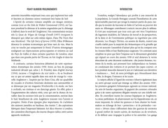 Peaky Blinders L'épilogue