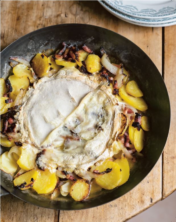 Le bon savoir du fromage