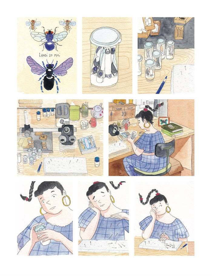 Quelques battements d'ailes