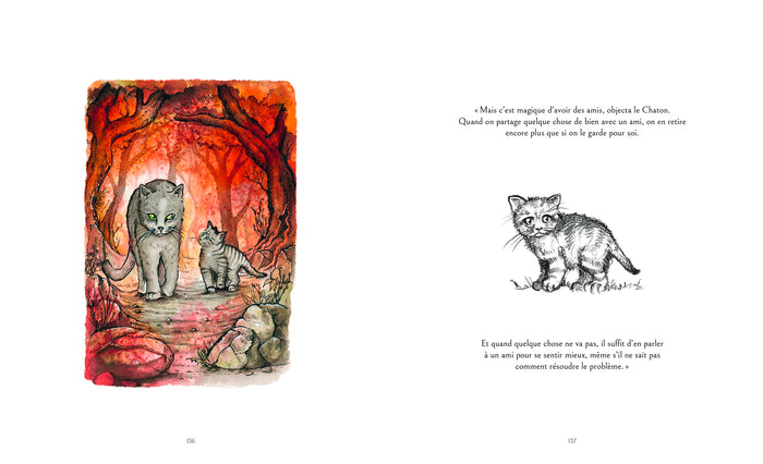 Le chat qui apprenait la sagesse