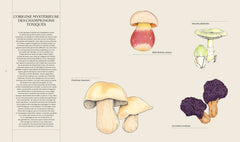 Champignons