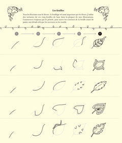 Tout dessiner comme Johanna Basford