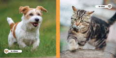 Mes amis les animaux - Les animaux domestiques