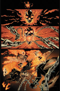 Ghost Rider : Ultime Vengeance