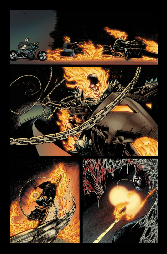 Ghost Rider : Ultime Vengeance