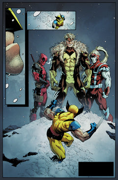 Wolverine : Vengeance