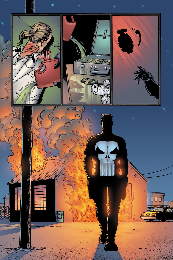 Punisher par Garth Ennis T01