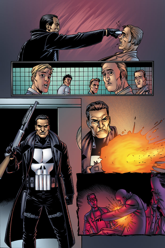Punisher par Garth Ennis T01