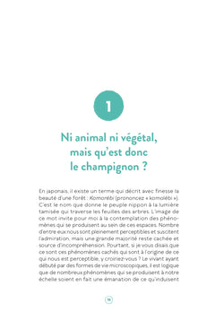 Le génie méconnu et discret des champignons