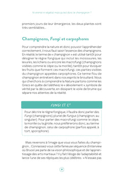 Le génie méconnu et discret des champignons