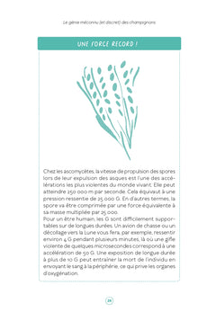 Le génie méconnu et discret des champignons