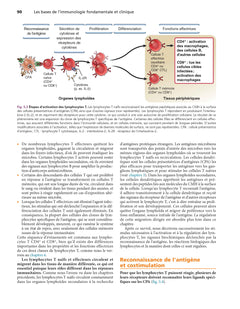 Les bases de l'immunologie fondamentale et clinique