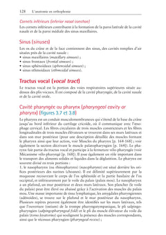 L'anatomie en orthophonie