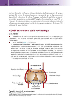 Guide pratique d'échocardiographie transoesophagienne