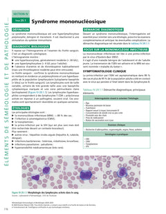 Hématologie-Immunologie et Biothérapie 2024-2025