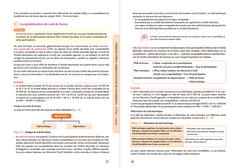 DSCG 4 - Comptabilité et audit