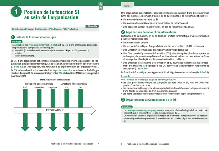 DSCG 5 Management des systèmes d'information - Fiches de révision - 3e éd.