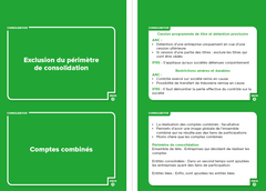 DSCG 4 - Comptabilité et audit - révisez en 132 flashcards !