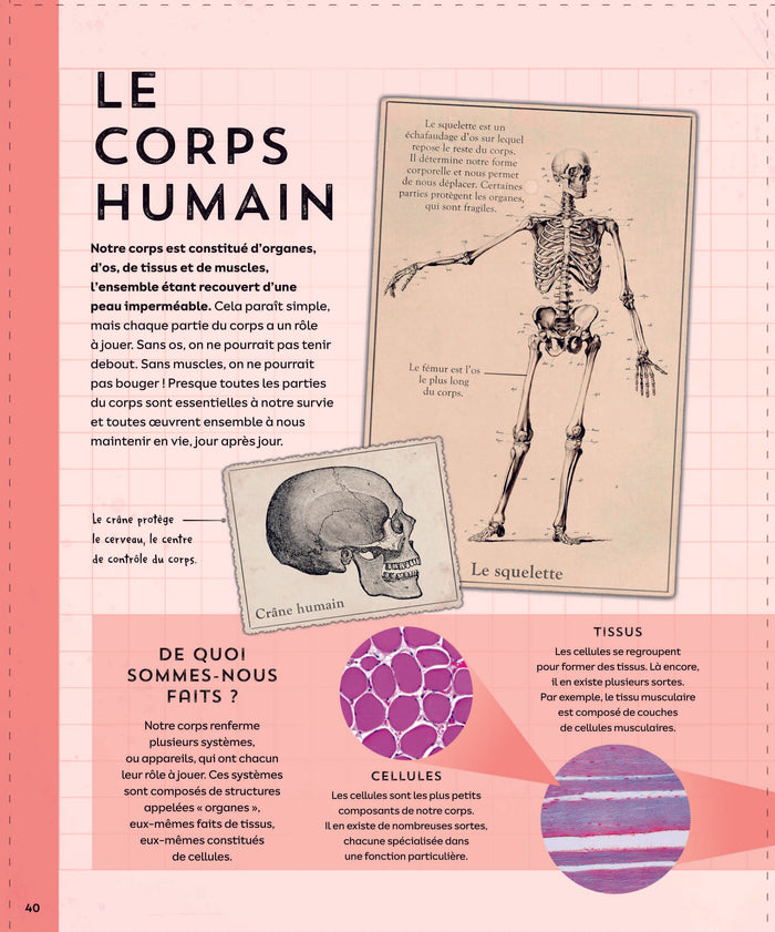 Explore : L'Univers, les sciences, la Terre, le vivant, l'histoire