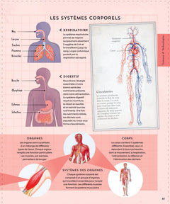 Explore : L'Univers, les sciences, la Terre, le vivant, l'histoire