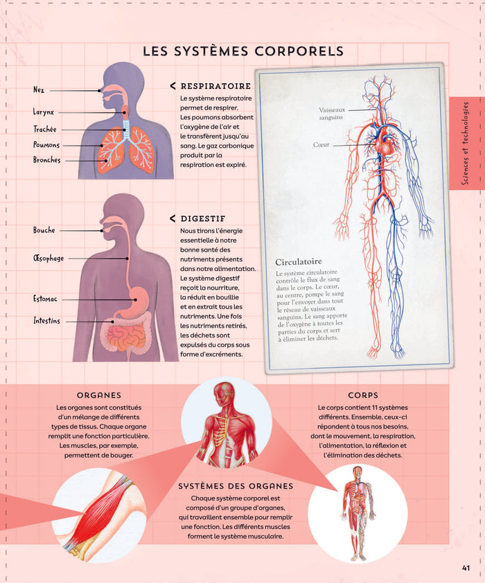 Explore : L'Univers, les sciences, la Terre, le vivant, l'histoire