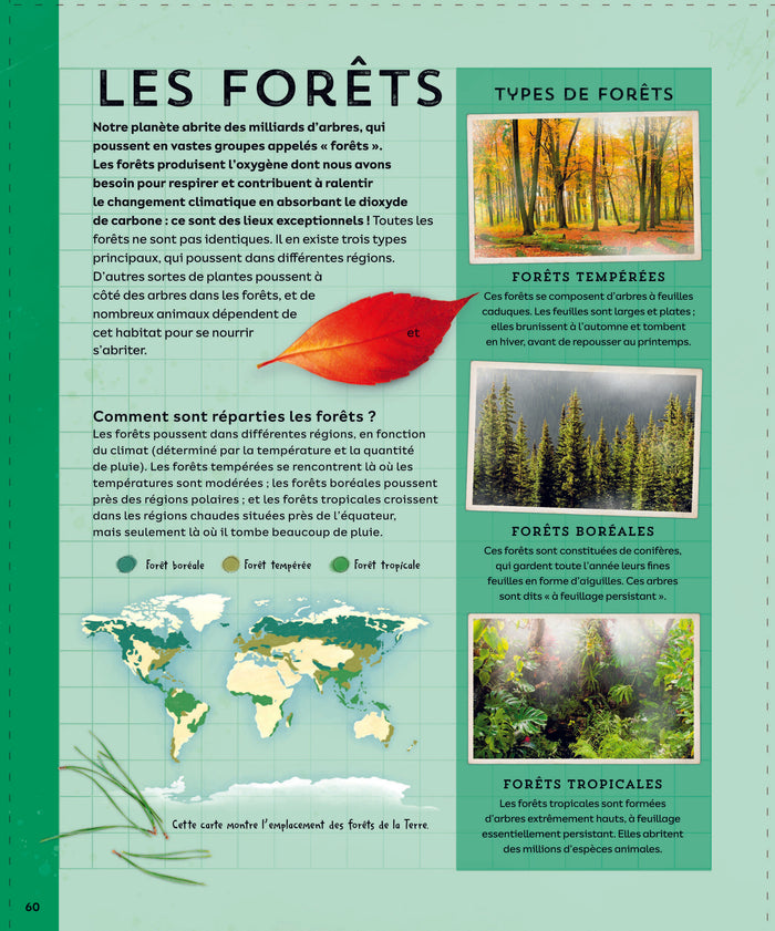 Explore : L'Univers, les sciences, la Terre, le vivant, l'histoire