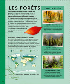 Explore : L'Univers, les sciences, la Terre, le vivant, l'histoire
