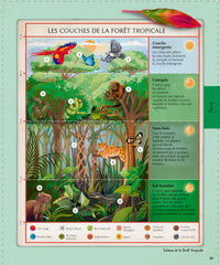 Explore : L'Univers, les sciences, la Terre, le vivant, l'histoire