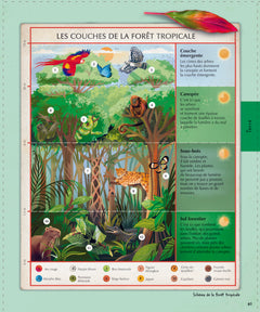 Explore : L'Univers, les sciences, la Terre, le vivant, l'histoire