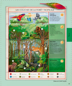 Explore : L'Univers, les sciences, la Terre, le vivant, l'histoire