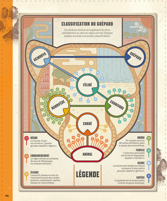 Explore : L'Univers, les sciences, la Terre, le vivant, l'histoire