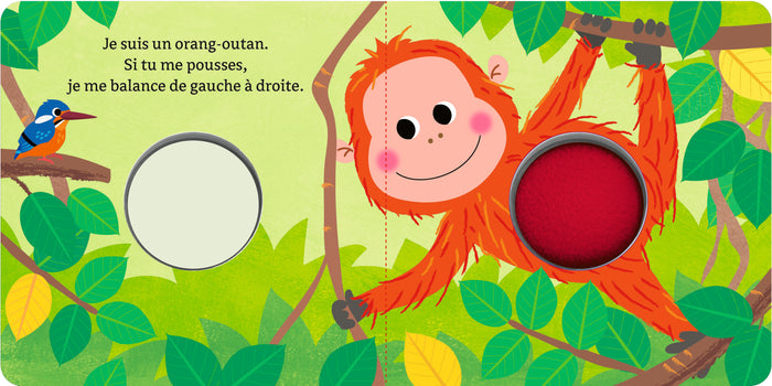 Les animaux de la jungle