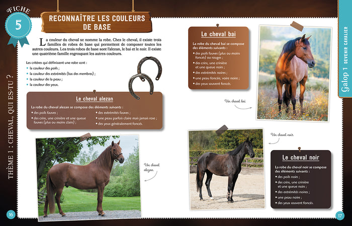 Réussir ses galops 1 et 2 avec Au Galop