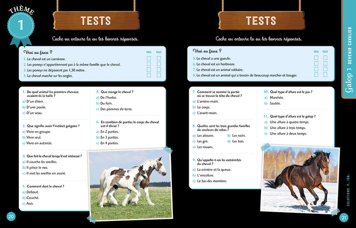 Réussir ses galops 1 et 2 avec Au Galop