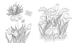Flora