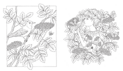 Flora