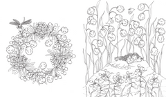 Flora
